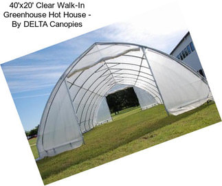 40\'x20\' Clear Walk-In Greenhouse Hot House - By DELTA Canopies