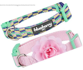 Blueberry Pet Pack of 2 Mix and Match Pretty Picks Dog Collar for Puppies & Small Dogs with Detachable Pink Flower, S, Neck 12\