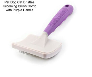 Pet Dog Cat Bristles Grooming Brush Comb with Purple Handle