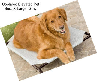 Coolaroo Elevated Pet Bed, X-Large, Gray