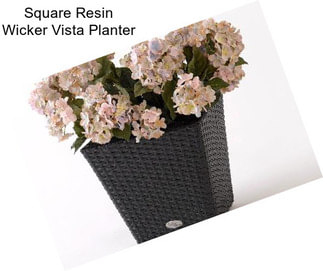 Square Resin Wicker Vista Planter