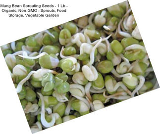 Mung Bean Sprouting Seeds - 1 Lb - Organic, Non-GMO - Sprouts, Food Storage, Vegetable Garden