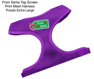 From Santa Tag Screen Print Mesh Harness Purple Extra Large