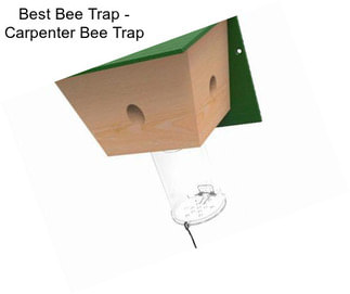 Best Bee Trap - Carpenter Bee Trap