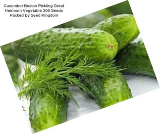 Cucumber Boston Pickling Great Heirloom Vegetable 300 Seeds Packed By Seed Kingdom