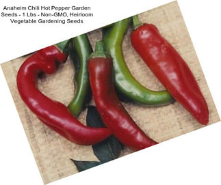 Anaheim Chili Hot Pepper Garden Seeds - 1 Lbs - Non-GMO, Heirloom Vegetable Gardening Seeds