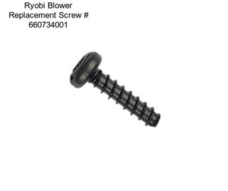 Ryobi Blower Replacement Screw # 660734001