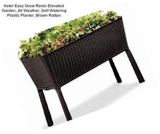 Keter Easy Grow Resin Elevated Garden, All Weather, Self-Watering Plastic Planter, Brown Rattan