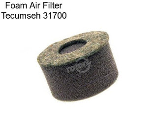 Foam Air Filter Tecumseh 31700