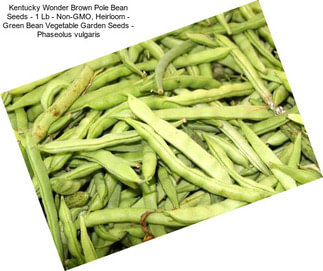 Kentucky Wonder Brown Pole Bean Seeds - 1 Lb - Non-GMO, Heirloom - Green Bean Vegetable Garden Seeds - Phaseolus vulgaris