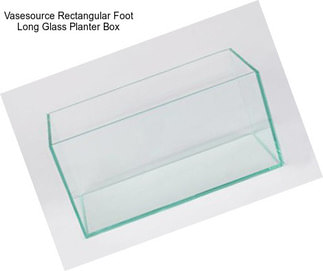 Vasesource Rectangular Foot Long Glass Planter Box