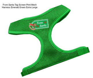 From Santa Tag Screen Print Mesh Harness Emerald Green Extra Large