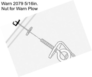 Warn 2079 5/16in. Nut for Warn Plow