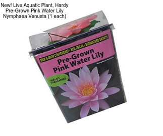 New! Live Aquatic Plant, Hardy Pre-Grown Pink Water Lily Nymphaea Venusta (1 each)