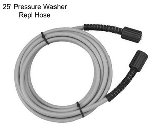 25\' Pressure Washer Repl Hose