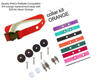 Sparky PetCo PetSafe Compatible 3/4 orange replacement strap with 529 kit, Neon Orange