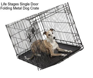 Life Stages Single Door Folding Metal Dog Crate