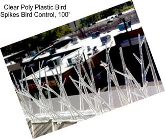 Clear Poly Plastic Bird Spikes Bird Control, 100\'