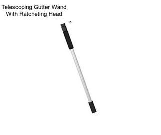 Telescoping Gutter Wand With Ratcheting Head