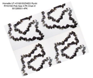 Homelite UT-43160/30254EG Ryobi RY43160 Pole Saw 4 PK Chain # 901289001-4PK