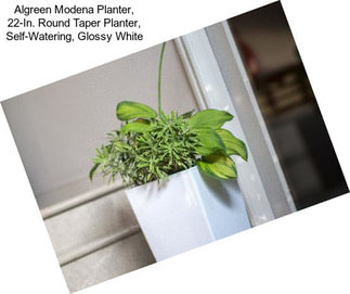 Algreen Modena Planter, 22-In. Round Taper Planter, Self-Watering, Glossy White