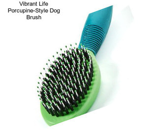 Vibrant Life Porcupine-Style Dog Brush