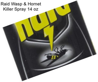 Raid Wasp & Hornet Killer Spray 14 oz