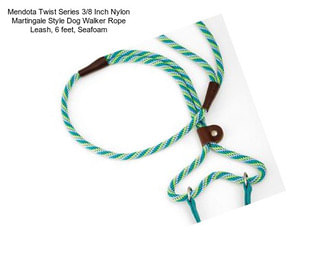 Mendota Twist Series 3/8 Inch Nylon Martingale Style Dog Walker Rope Leash, 6 feet, Seafoam