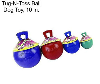 Tug-N-Toss Ball Dog Toy, 10 in.