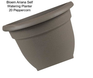 Bloem Ariana Self Watering Planter 20\