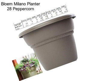 Bloem Milano Planter 28\