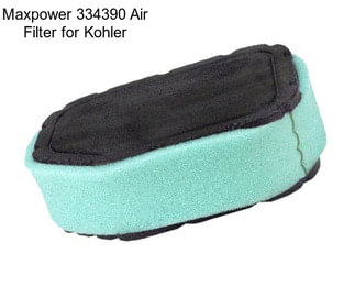 Maxpower 334390 Air Filter for Kohler