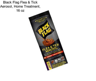 Black Flag Flea & Tick Aerosol, Home Treatment, 16 oz