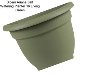 Bloem Ariana Self Watering Planter 16\