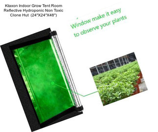 Ktaxon Indoor Grow Tent Room Reflective Hydroponic Non Toxic Clone Hut  (24\'\'X24\'\'X48\'\')