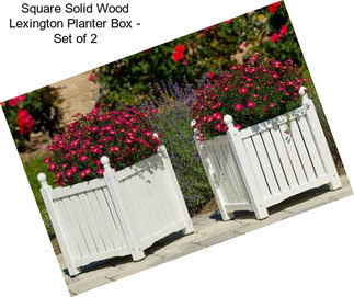 Square Solid Wood Lexington Planter Box - Set of 2