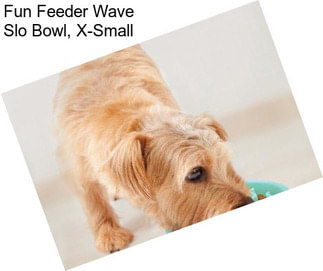 Fun Feeder Wave Slo Bowl, X-Small