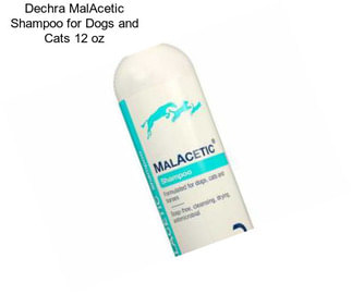 Dechra MalAcetic Shampoo for Dogs and Cats 12 oz