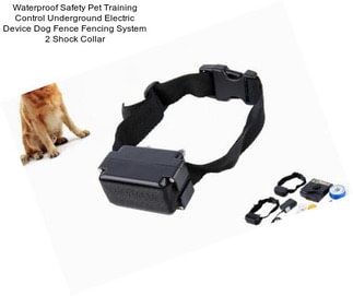 Waterproof Safety Pet Training Control Underground Electric Device Dog Fence Fencing System 2 Shock Collar