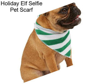 Holiday Elf Selfie Pet Scarf