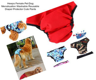 Heepo Female Pet Dog Menstruation Washable Reusable Diaper Protector Cute Pants