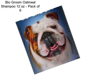 Bio Groom Oatmeal Shampoo 12 oz - Pack of 6