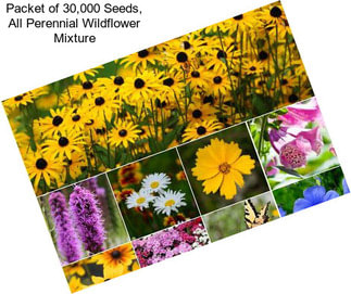Packet of 30,000 Seeds, All Perennial Wildflower Mixture