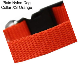 Plain Nylon Dog Collar XS Orange