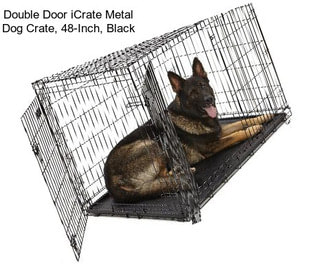 Double Door iCrate Metal Dog Crate, 48-Inch, Black
