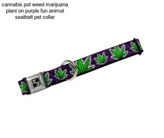 Cannabis pot weed marijuana plant on purple fun animal seatbelt pet collar