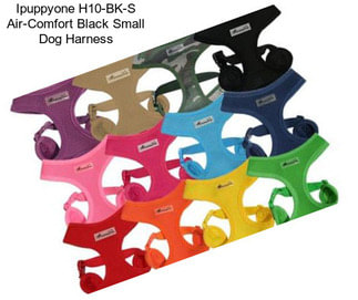 Ipuppyone H10-BK-S Air-Comfort Black Small Dog Harness