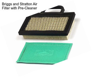 Briggs and Stratton Air Filter with Pre-Cleaner