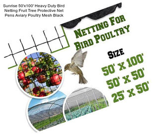 Sunrise 50\'x100\' Heavy Duty Bird Netting Fruit Tree Protective Net Pens Aviary Poultry Mesh Black