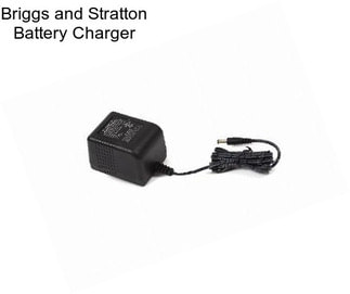 Briggs and Stratton Battery Charger